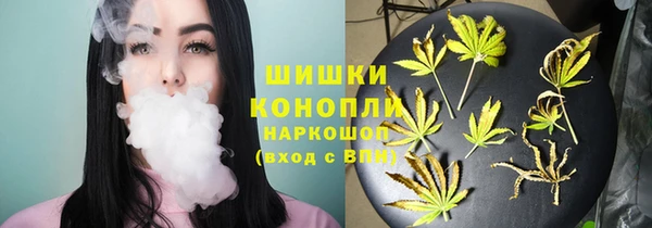 трава Осинники