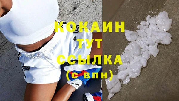 гидропоника Няндома