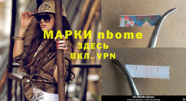 трава Осинники