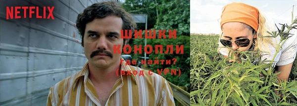 МДПВ Нягань