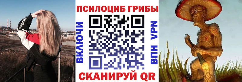 Галлюциногенные грибы мицелий  Купить закладки  Рубцовск 